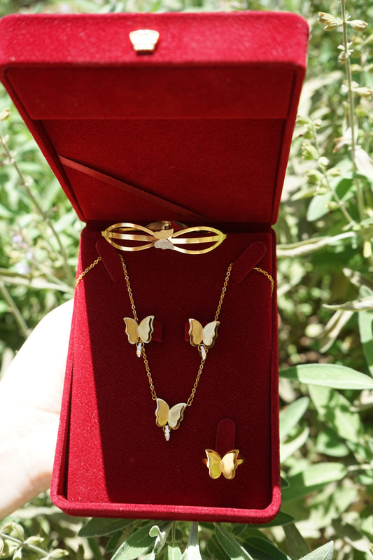Butterfly set طقم الفراشة 🦋 4